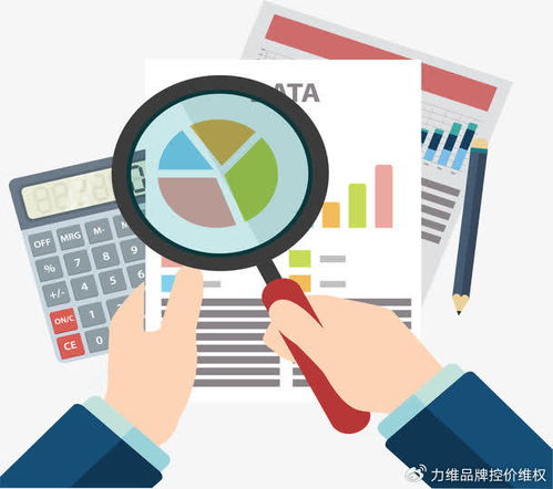 專業電商數據分析服務 數據處理如何賦能品牌破局增長